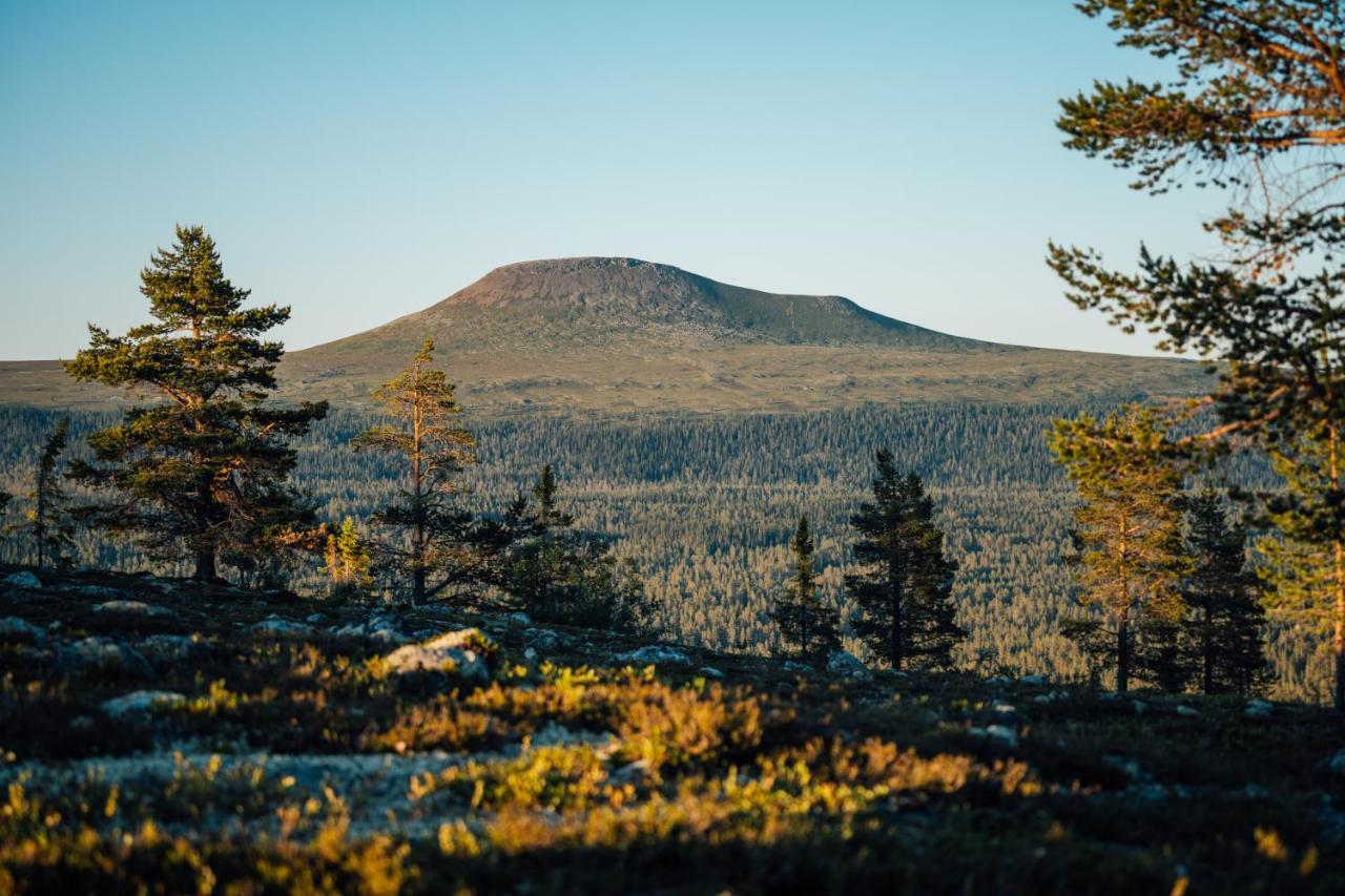 Semesterbostad Himmelfjaell